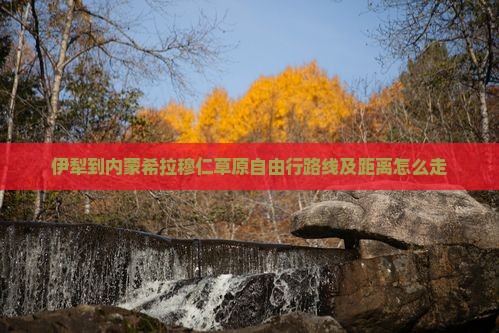 伊犁到内蒙希拉穆仁草原自由行