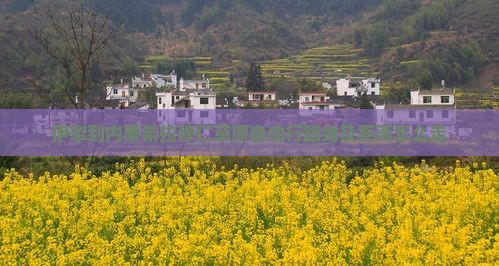 伊犁到内蒙希拉穆仁草原自由行