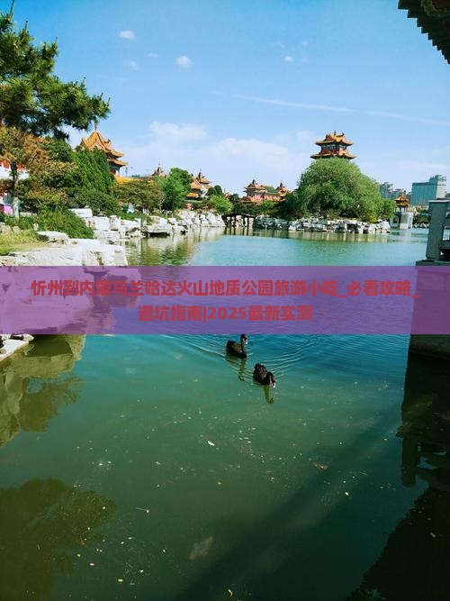 忻州到内蒙乌兰哈达火山地质公园旅游小吃