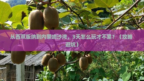 西双版纳去内蒙响沙湾自由行