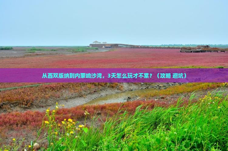 西双版纳去内蒙响沙湾自由行