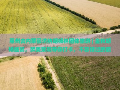 惠州去内蒙额济纳胡杨林团体旅游