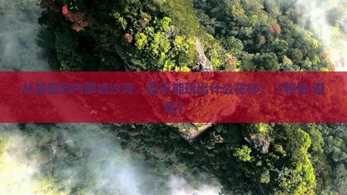 楚雄到内蒙响沙湾四日游