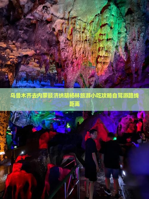 乌鲁木齐去内蒙额济纳胡杨林旅游小吃