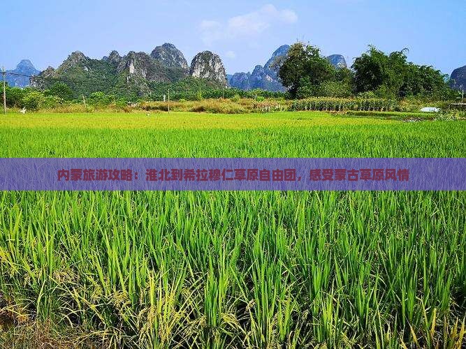 淮北到内蒙希拉穆仁草原自由团
