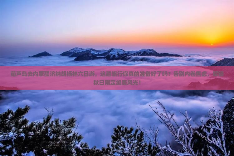 葫芦岛去内蒙额济纳胡杨林六日游