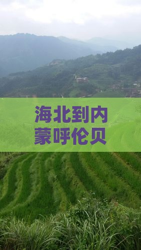 海北到内蒙呼伦贝尔大草原景点