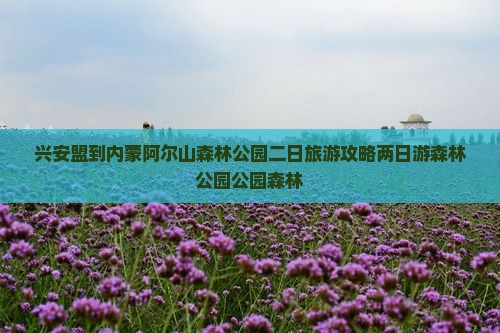 兴安盟到内蒙阿尔山国家森林公园二日游