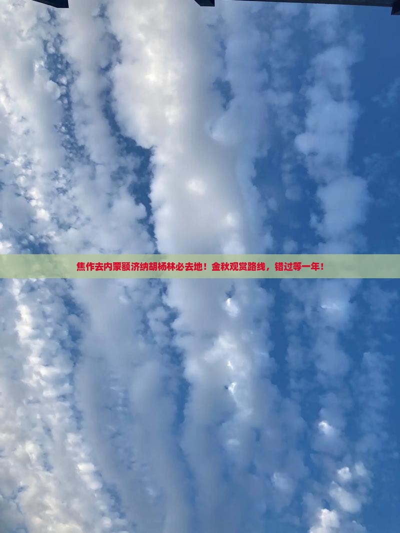 焦作去内蒙额济纳胡杨林必去地