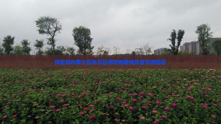 保定到内蒙大召寺五日游