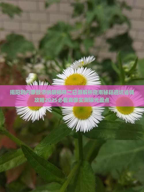 揭阳到内蒙额济纳胡杨林二日游