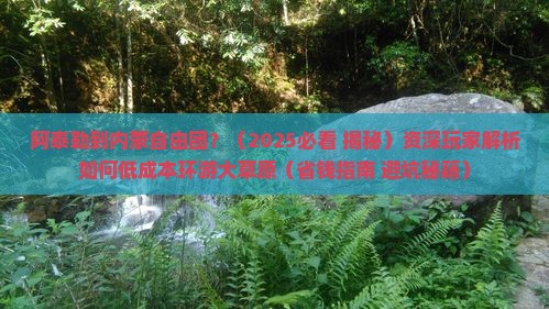 阿泰勒到内蒙自由团