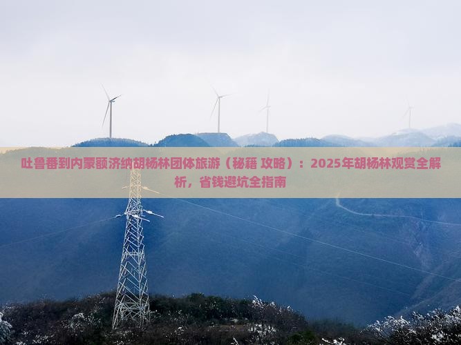 吐鲁番去内蒙额济纳胡杨林团体旅游
