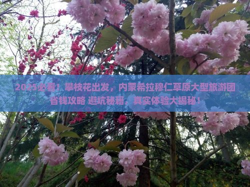 攀枝花去内蒙希拉穆仁草原大型旅游团