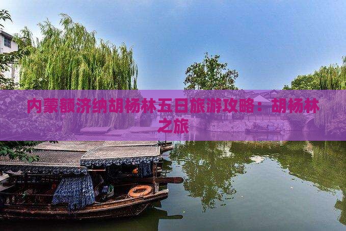 淮南去内蒙额济纳胡杨林五日游