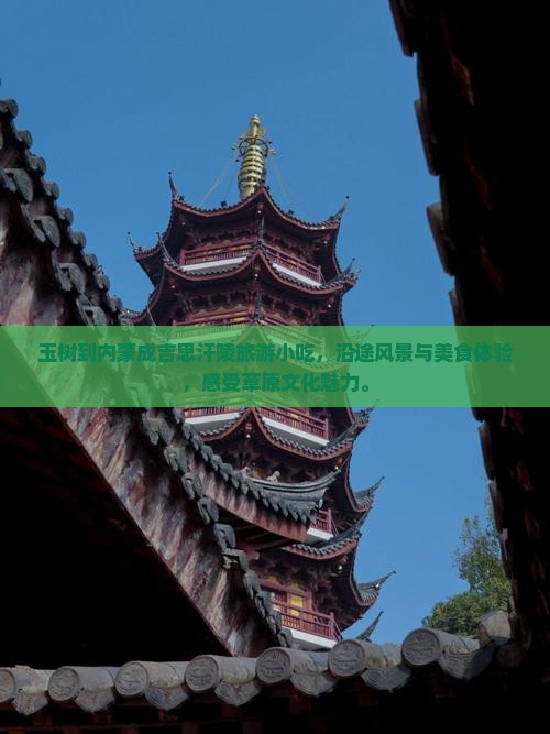 玉树到内蒙成吉思汗陵旅游小吃