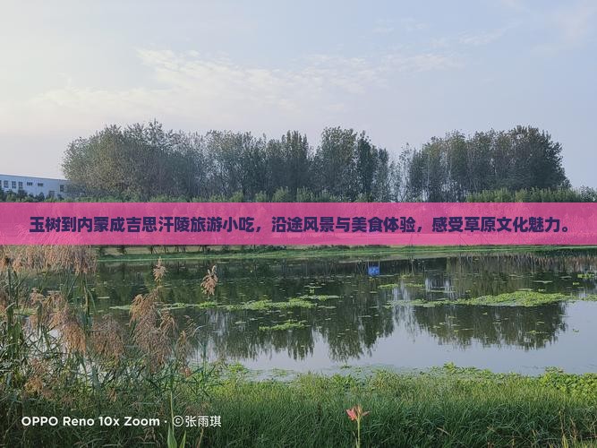 玉树到内蒙成吉思汗陵旅游小吃