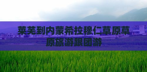 莱芜到内蒙希拉穆仁草原大型旅游团