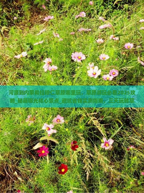 河源到内蒙希拉穆仁草原哪里玩