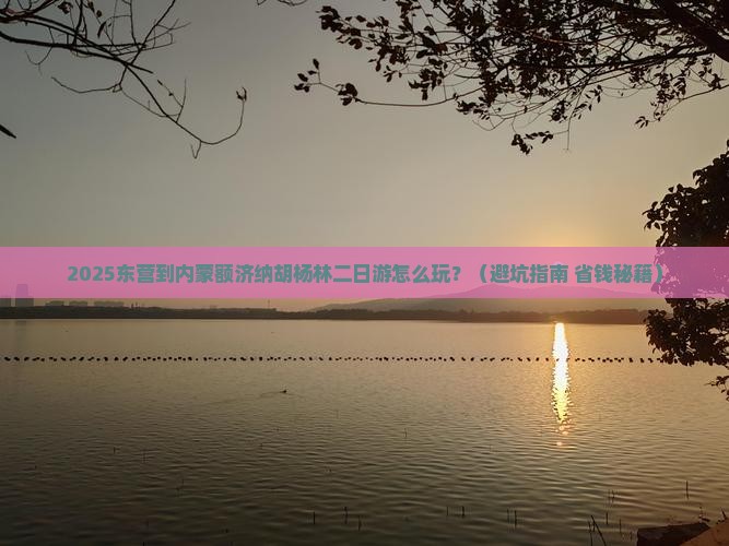 东营到内蒙额济纳胡杨林二日游