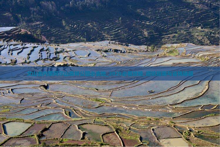 文山去内蒙阿尔山国家森林公园必去地