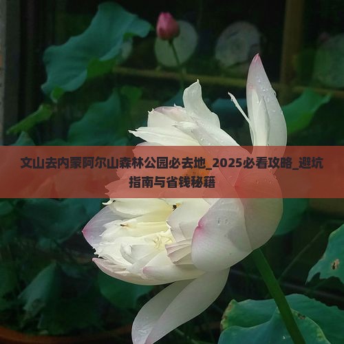 文山去内蒙阿尔山国家森林公园必去地