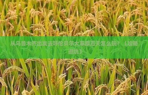 乌鲁木齐去内蒙呼伦贝尔大草原五日游