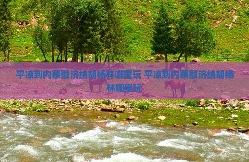 平凉到内蒙额济纳胡杨林哪里玩