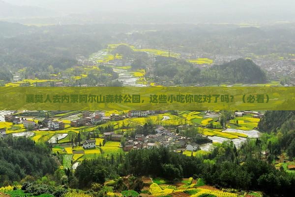 襄樊去内蒙阿尔山国家森林公园旅游小吃