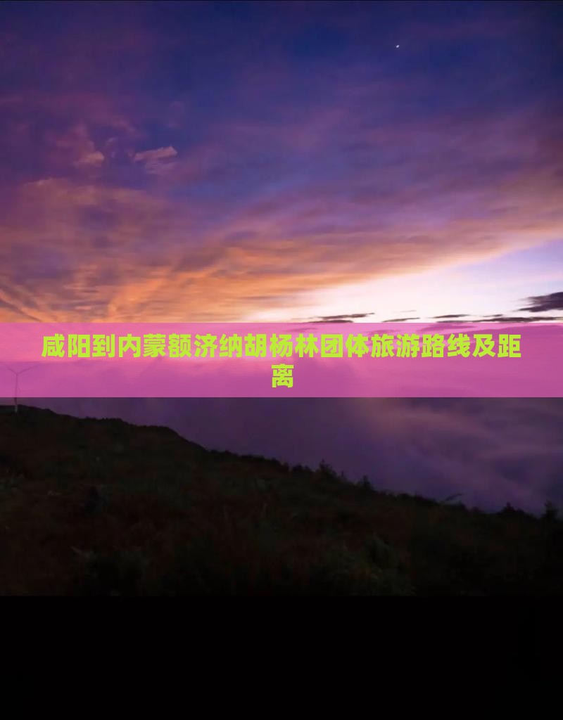 咸阳到内蒙额济纳胡杨林团体旅游
