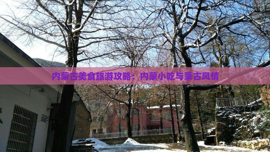 诸城到内蒙旅游小吃