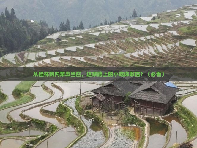 桂林到内蒙五当召旅游小吃