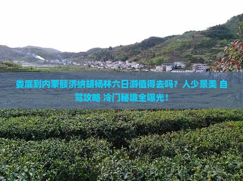 娄底到内蒙额济纳胡杨林六日游
