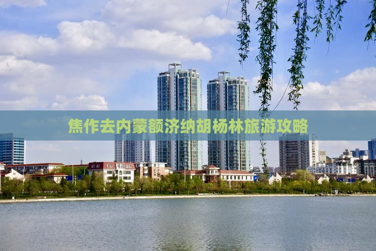 焦作去内蒙额济纳胡杨林个人游