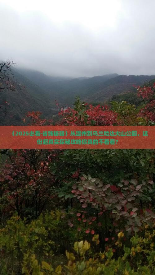 温州去内蒙乌兰哈达火山地质公园攻略