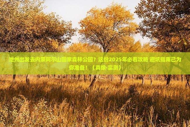 池州到内蒙阿尔山国家森林公园必去地