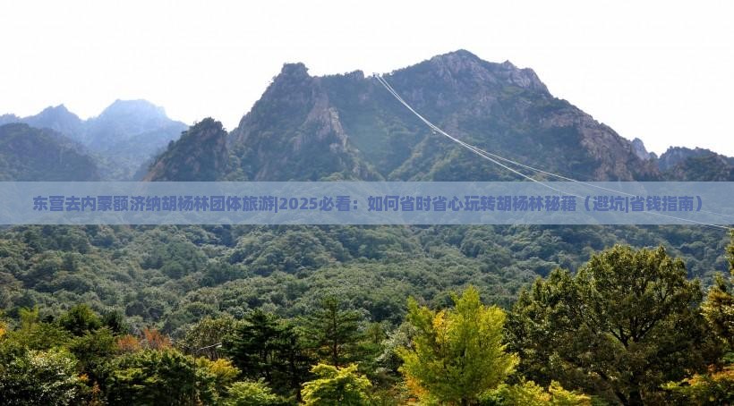 东营去内蒙额济纳胡杨林团体旅游