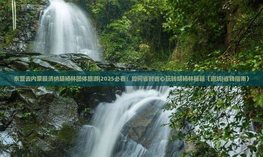 东营去内蒙额济纳胡杨林团体旅游