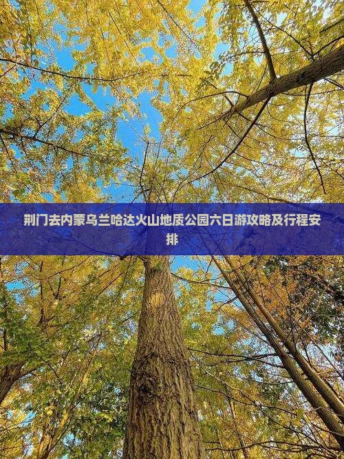 荆门去内蒙乌兰哈达火山地质公园六日游