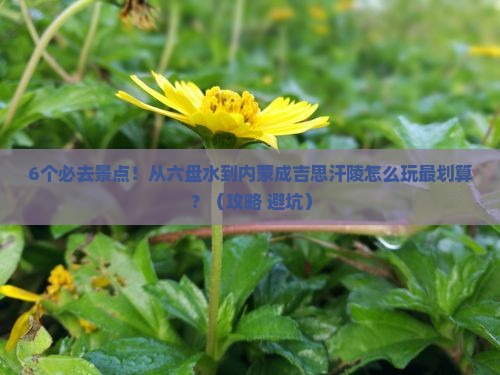 六盘水到内蒙成吉思汗陵必去地