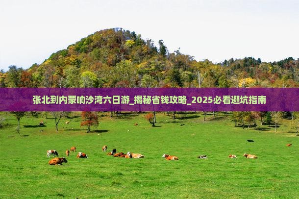 张北到内蒙响沙湾六日游