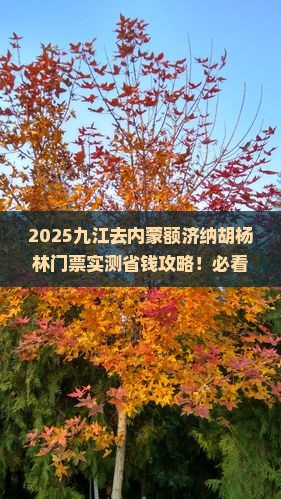九江去内蒙额济纳胡杨林门票