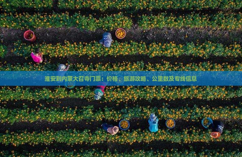 淮安到内蒙大召寺门票