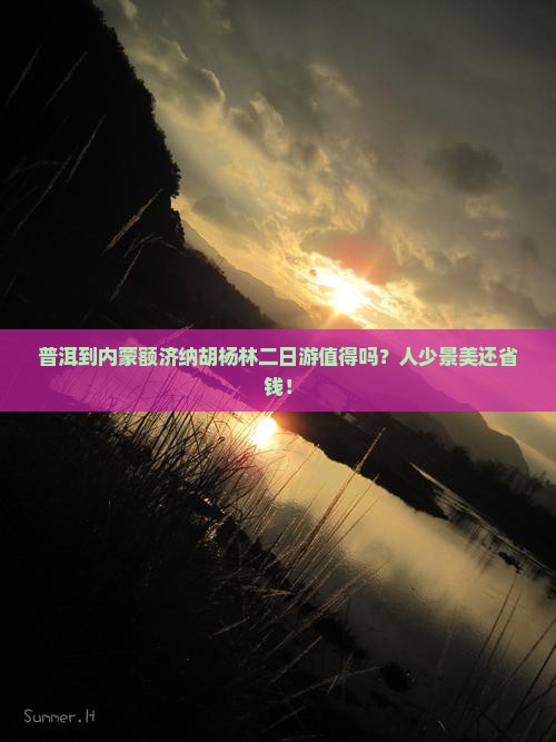 普洱到内蒙额济纳胡杨林二日游