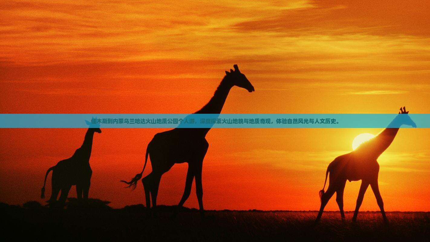 佳木斯到内蒙乌兰哈达火山地质公园个人游