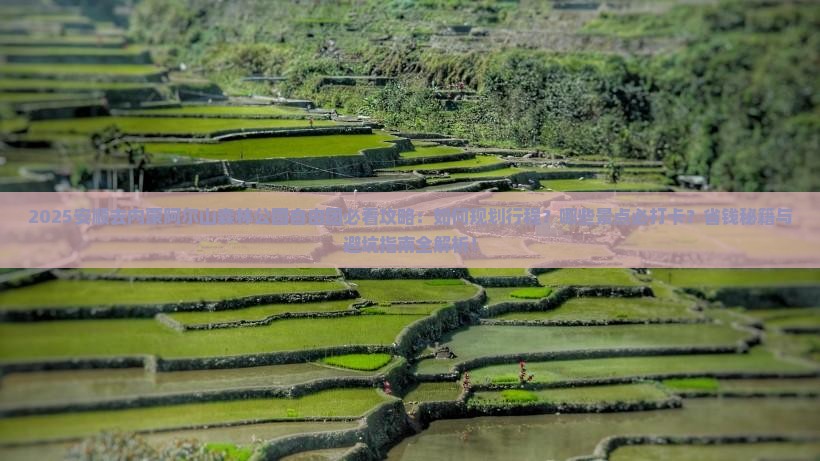安顺去内蒙阿尔山国家森林公园自由团