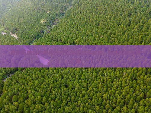西双版纳去内蒙希拉穆仁草原旅游