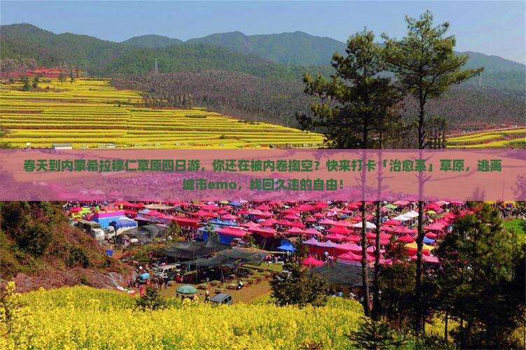 春天到内蒙希拉穆仁草原四日游
