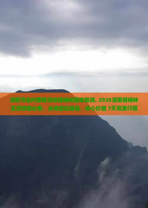 清明节去内蒙额济纳胡杨林团体旅游