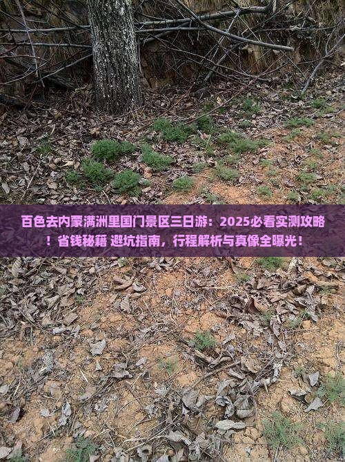 百色去内蒙满洲里国门景区三日游